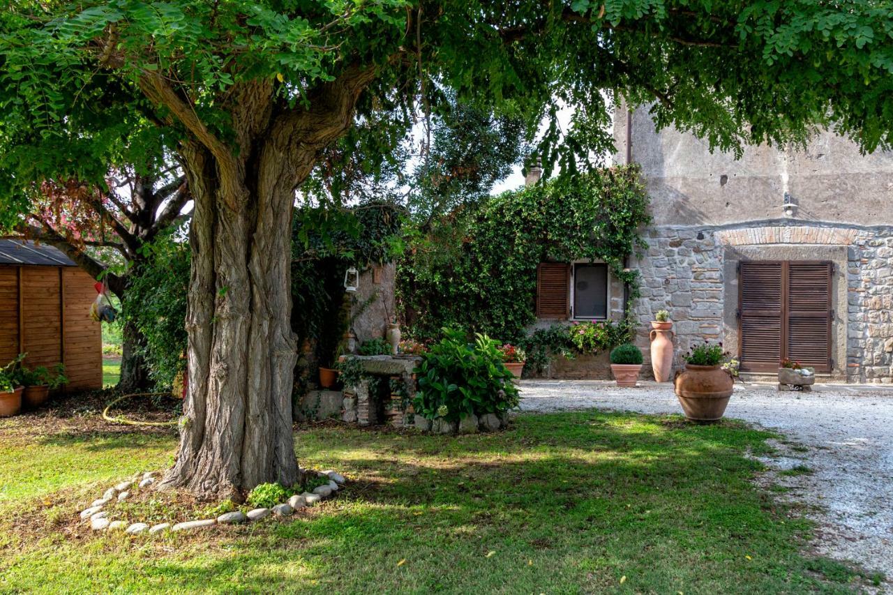 Il Castelletto Del Salamaro Viterbo Exterior photo